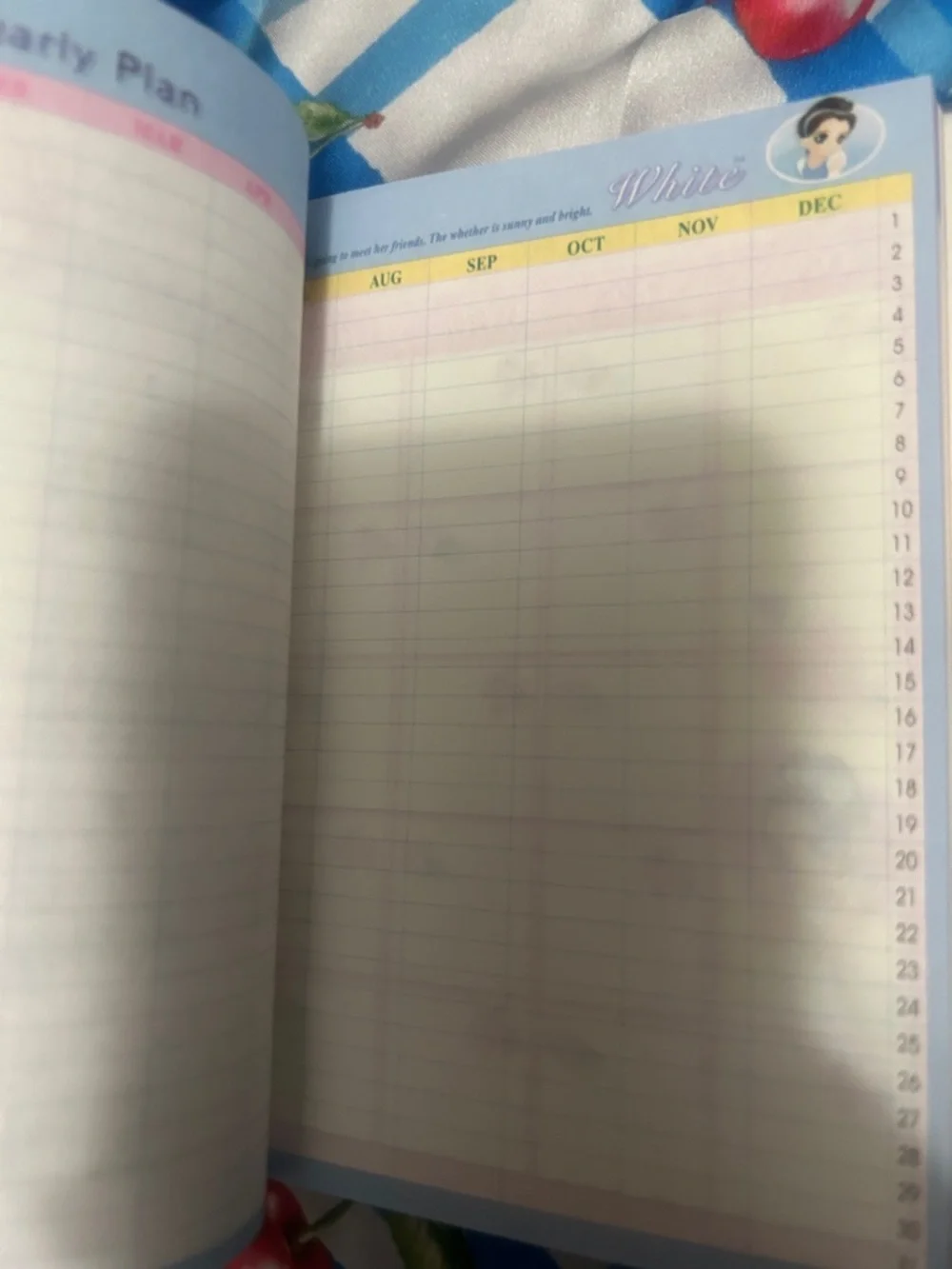 Pink Illustrated Home Office Planner - White